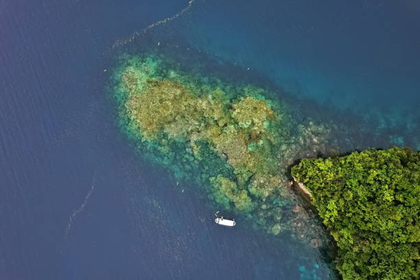istock Rock island paradise in Palau 1475062065