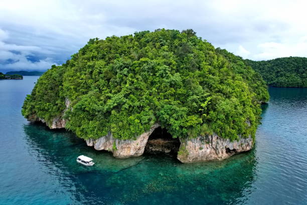 île paradisiaque rocheuse à palau - micronesia lagoon palau aerial view photos et images de collection