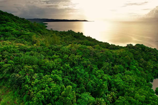 mangroves on the main island of palau - micronesia lagoon palau aerial view imagens e fotografias de stock