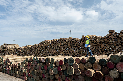 A male worker works at a timber wharf