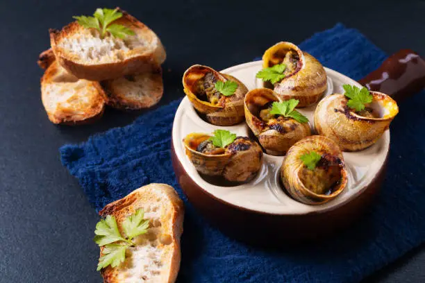 Food concept Escargots Baked French snails with Garlic butter on black slate stone background with copy space