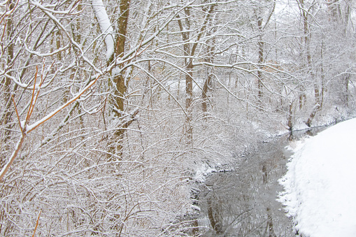 Snow Covered trees and a small stream-Howard County, Indiana