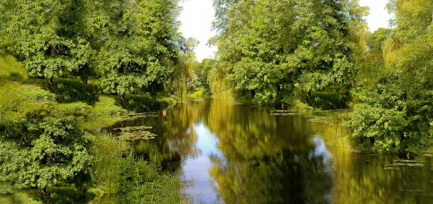 istock Arboretum Oleksandriya 1475068712