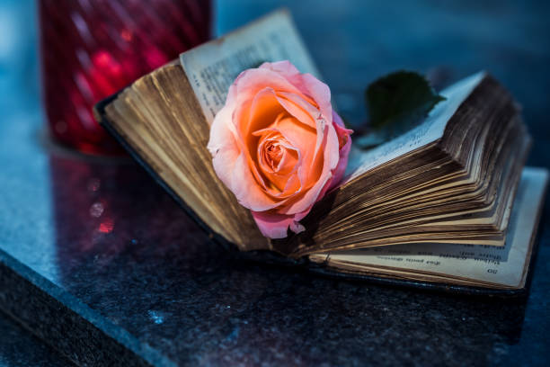 Cemetery Pink rose and Holy Bible on tombstone at cemetery pink memorial candle with flowers stock pictures, royalty-free photos & images