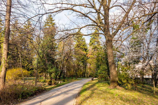istock Public footpath through Bucharest Botanical Garden 1475070540