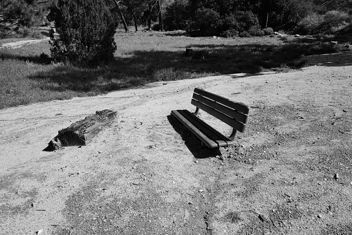 a lonely bench, looking on