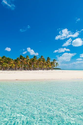 Tropical Beach on Exumas, Bahamas