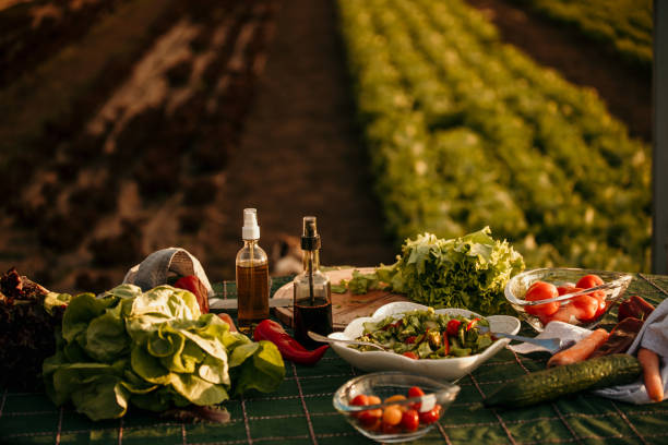 Table for outdoors farm picnic stock photo