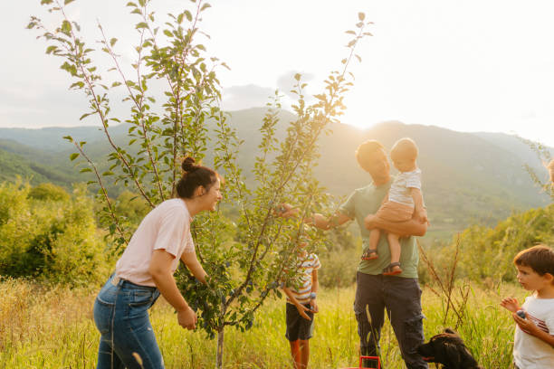 Família feliz no pomar de ameixa - foto de acervo