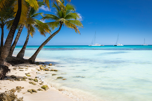 Caribbean tropical beach with boats and sailboats in Saona island, Punta Cana at sunny day, Dominican Republic