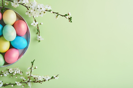 Happy Easter. Dyed Easter eggs on rustic table with cherry blossom tree branch on green background. Easter holiday card background with copy space. Top view.