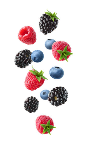 istock Various falling fresh ripe wild berries isolated on white background. Raspberry, blackberry and blueberry. 1475080266