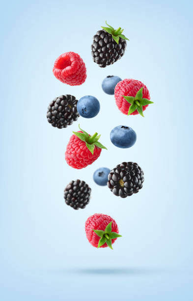 istock Various falling fresh ripe wild berries on light blue background. Raspberry, blackberry and blueberry. 1475080271