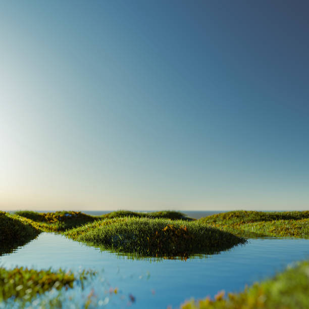 Abstract landscape scene for product display. 3d rendering.