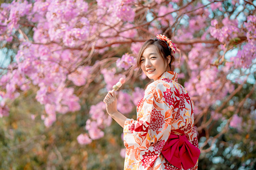 Asian woman wearing kimono costume and holding dango with cherry blossoms