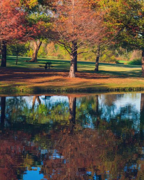 Autumn Reflections in Crowley Park, Richardson, Texas stock photo