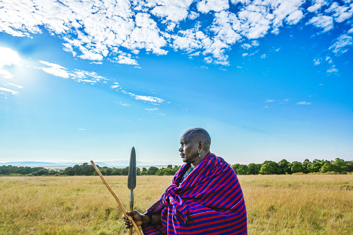 Maasai Mara National Reserve -  July 30, 2022:\nMasai warrior in traditional clothing and jewelry , holding a spear and a stick, standing in the plains of the Maasai Mara National Reserve.