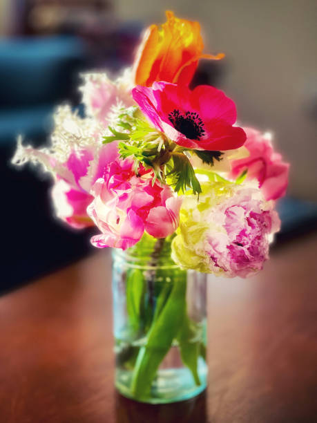 istock Variety of multicolored, early Spring tulips 1475089763