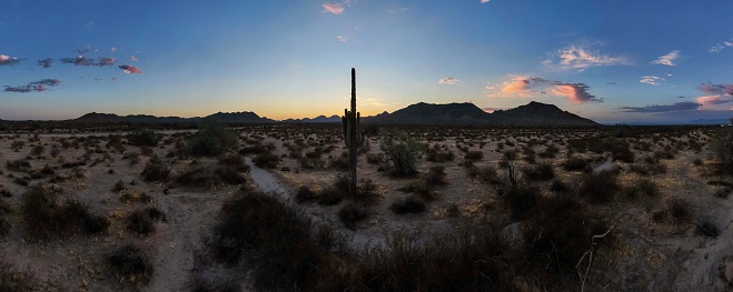 A tranquil evening in Arizona’s Sonoran Desert.
