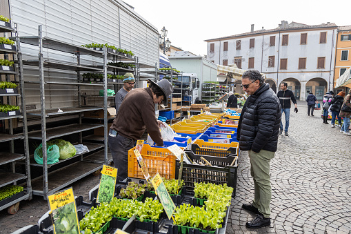Piove di Sacco, Veneto, Italy - Feb 25th, 2023: People purchasing fruits and vegetables at a street market at Piazza Incoronata
