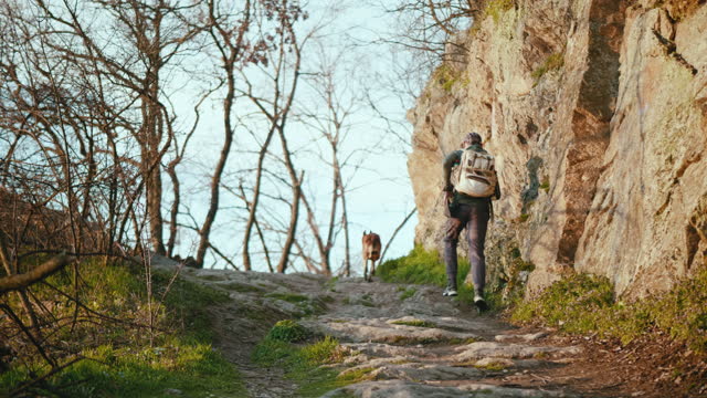 Slow motion shot of a man with a backpack running with his dog on a mountain path next to a rock. Back view