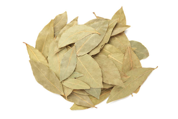 istock Aromatic bay leaves isolated on white background 1475094502