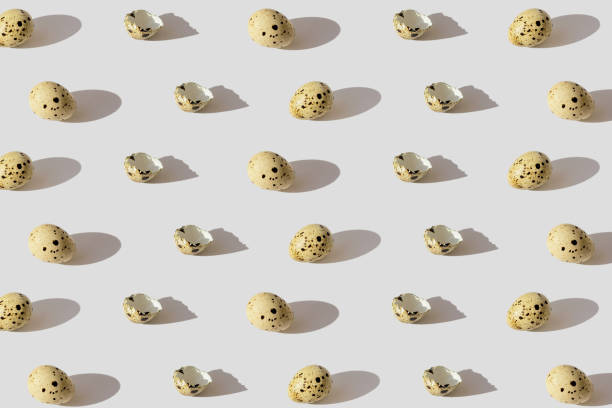 istock Minimal style pattern made of quail eggs on pastel background with shadow. Easter creative concept. 1475094541