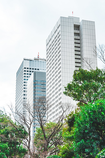 Business towers and Green leaves, Tokyo