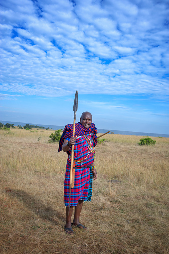 Maasai Mara National Reserve -  July 30, 2022:\nMasai warrior in traditional clothing and jewelry , holding a spear and a stick, standing in the plains of the Maasai Mara National Reserve.