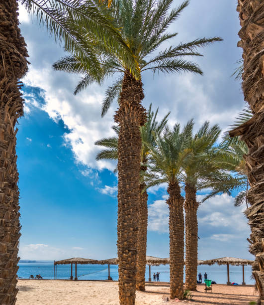 istock Sandy beach of the Red Sea in Eilat 1475096809