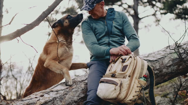 Hiker and his dog taking a break while sitting on a felled tree in the forest