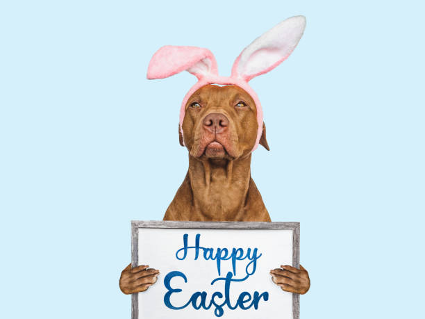 istock Happy Easter. Lovable, pretty puppy and congratulatory message 1475100826