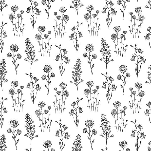 illustrazioni stock, clip art, cartoni animati e icone di tendenza di modello senza cuciture disegnato a mano di fiori selvatici in fiore, campane di canterbury, camomilla. collezione floreale su sfondo bianco. illustrazione di contorno decorativo per biglietto di auguri, carta da parati, carta da regalo - campanula wildflower cut out isolated