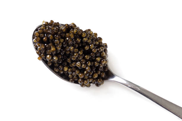 A spoon of black caviar isolated over white. Natural sturgeon luxury delicacy closeup. Seafood delicatessen appetizer.