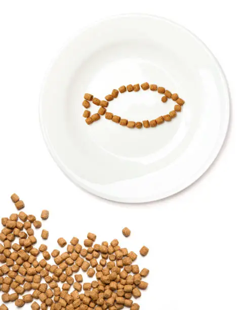 Professional dry cat food with tuna forming a fish on a white plate and a heap of food in the corner. Healthy organic pet food isolated over white.