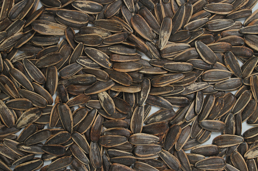 Full frame view of sunflower seeds texture background.