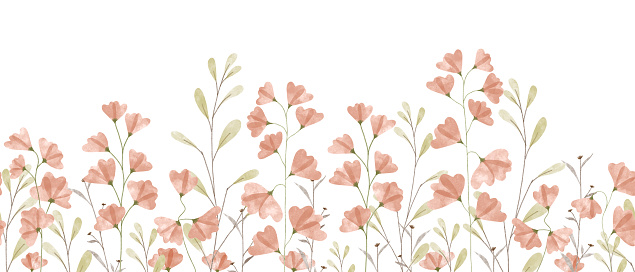 Floral summer horizontal pattern with sweet peas wildflowers. Watercolor hand drawn isolated illustration border, meadow or floral background for your design.