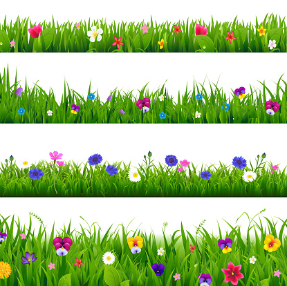 Collection Green Grass And Spring Flowers Borders 
With Gradient Mesh, Vector Illustration