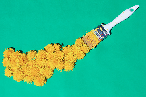 Paintbrush with yellow dandelions on green background