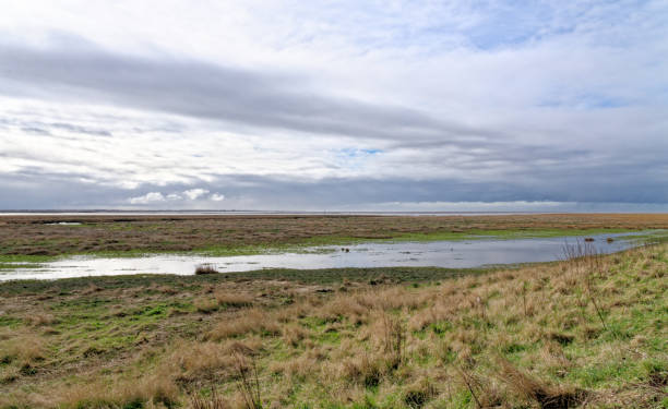 istock Promenade in Lytham St Annes Lancashire UK 1475107624