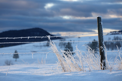 A frosty fence post in winter.
