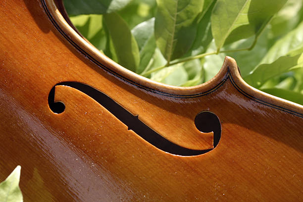 Violin F-hole stock photo