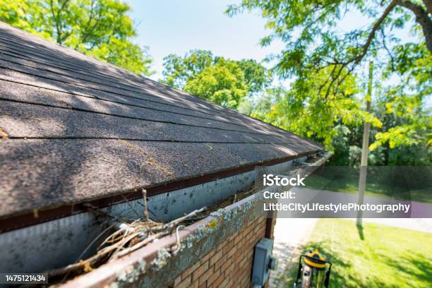 These Gutters Need Cleaning Stock Photo - Download Image Now - Dirty, Roof Gutter, Domestic Life