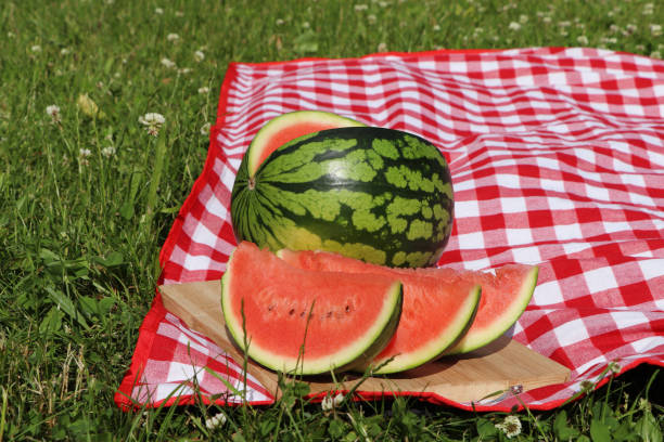 istock Delicious cut watermelon on red checkered blanket outdoors 1475124533