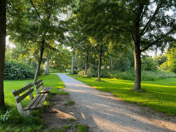 istock View of pathway going through park with beautiful green plants 1475125875
