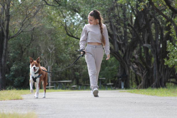 istock Woman walking her dog 1475129438