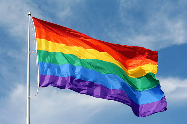 bandera del arco iris s'enorgullece de saludar con la mano - gay pride flag fotografías e imágenes de stock