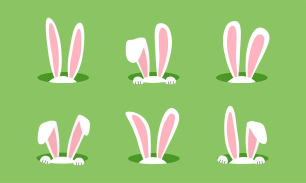ilustrações, clipart, desenhos animados e ícones de coelhinho da páscoa no buraco, orelhas de coelho, personagem engraçado dos desenhos animados no fundo verde. ilustração vetorial animal - ovo de pata