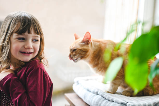 istock little girl having fun with her cat. 1475138551