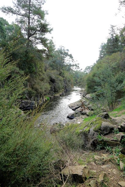 istock Bright,  Victoria,  Australia 1475138827